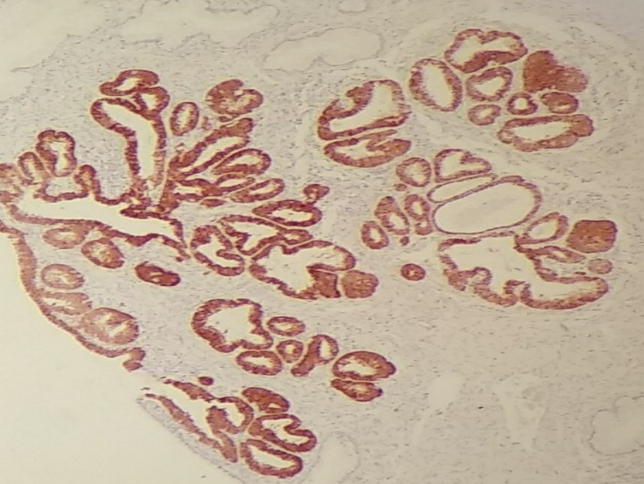 inmuo home inmuo home